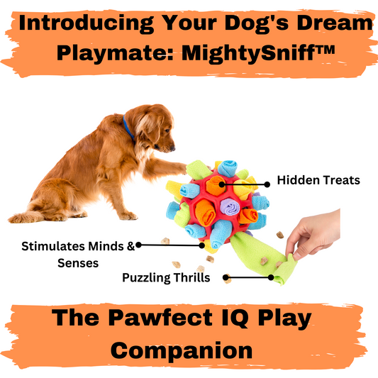 MightySniff ™- The Pawfect IQ Play Companion
